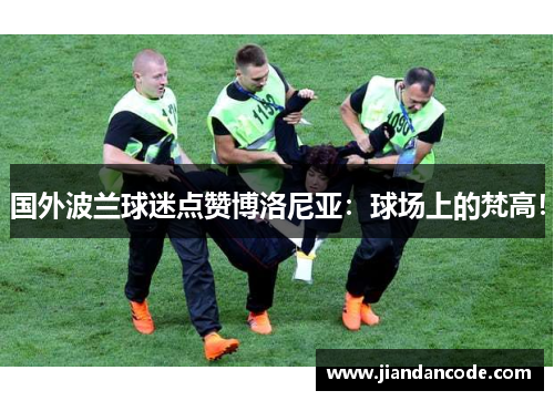 国外波兰球迷点赞博洛尼亚:球场上的梵高! 国外波兰球迷点赞博洛尼亚:球场上的梵高!